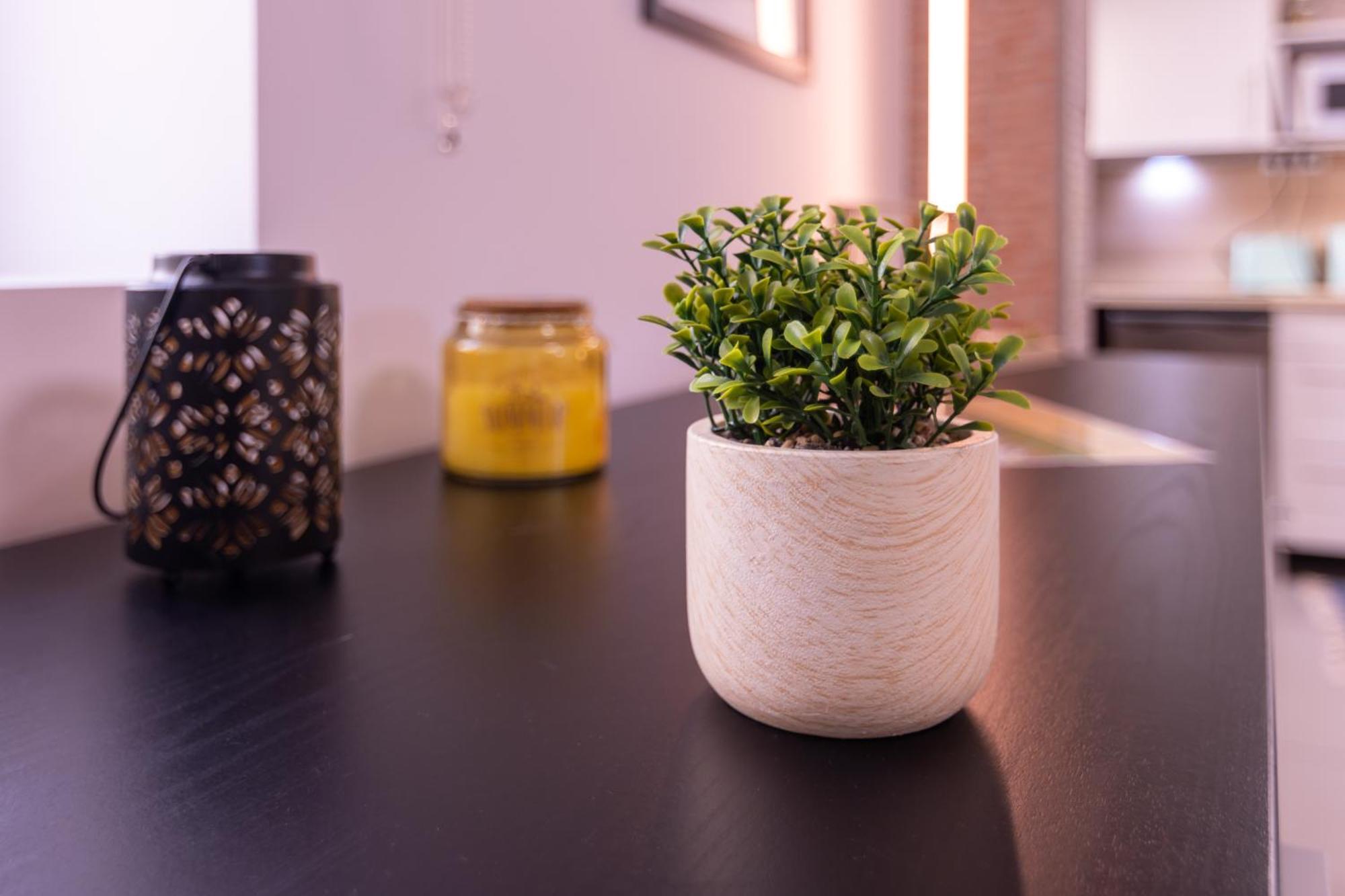 Perafita Yellow House - Ecohost エクステリア 写真